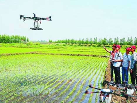 農(nóng)業(yè)植保解決方案 農(nóng)業(yè)植保解決方案